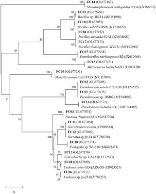 Removal of Dinotefuran, <mark class="highlighted">Thiacloprid</mark>, and Imidaclothiz Neonicotinoids in Water Using a Novel Pseudomonas monteilii FC02–Duckweed (Lemna aequinoctialis) Partnership